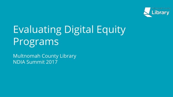 Digital Equity Initiatives and Success Framework