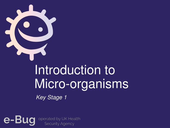 Micro-organisms in Key Stage 1 Curriculum