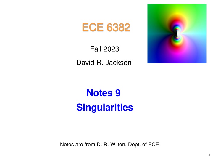 Singularities in Complex Analysis: Notes and Examples