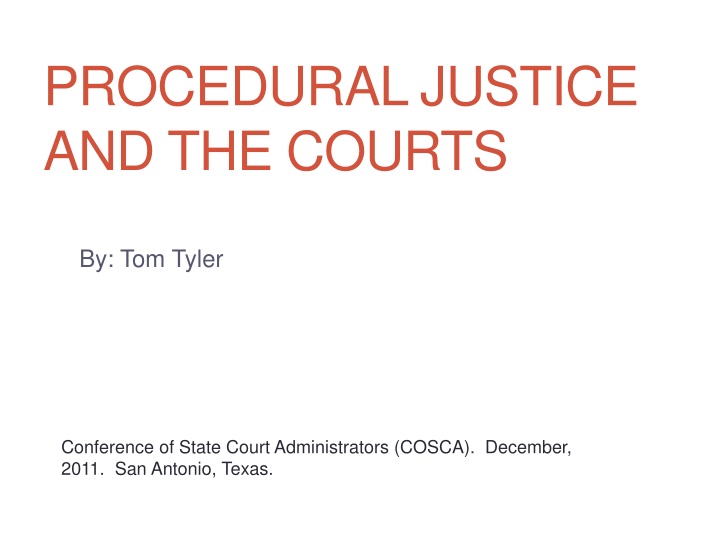 Procedural Justice and Public Trust in the Justice System