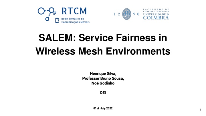 SALEM: Service Fairness in Wireless Mesh Environments