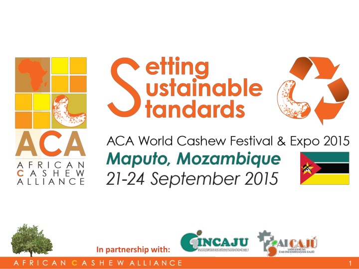 Advancing the African Cashew Industry: ACA Partnership and Activities