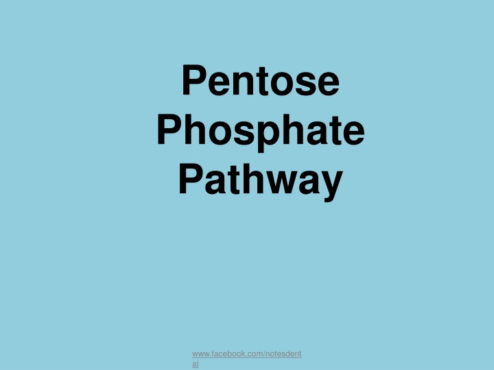The Pentose Phosphate Pathway in Metabolism
