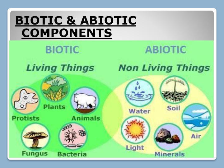 Biotic and Abiotic Components in Ecosystems