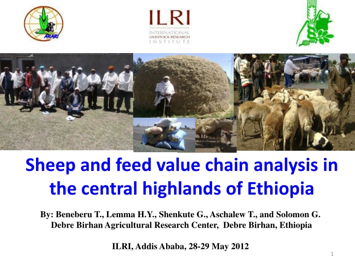 Sheep and Feed Value Chain Analysis in the Central Highlands of Ethiopia
