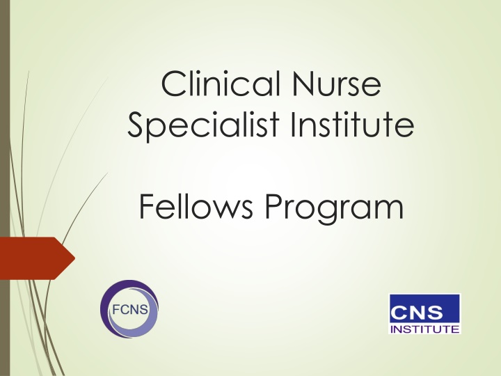 Clinical Nurse Specialist Institute Fellows Program Overview