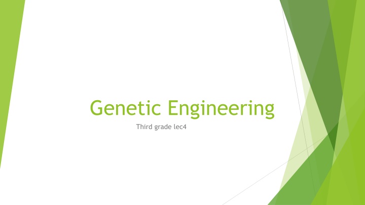 Polymerase Chain Reaction (PCR) in Genetic Engineering