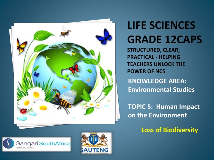 Importance of Biodiversity in Environmental Preservation