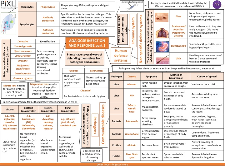Pathogens and Immune Response Mechanisms