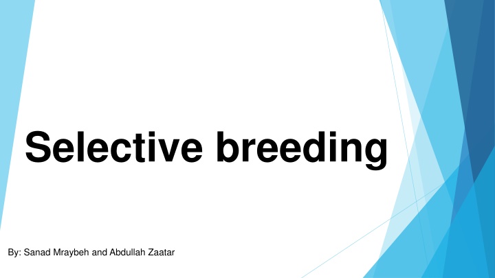 Selective Breeding: Benefits and Process