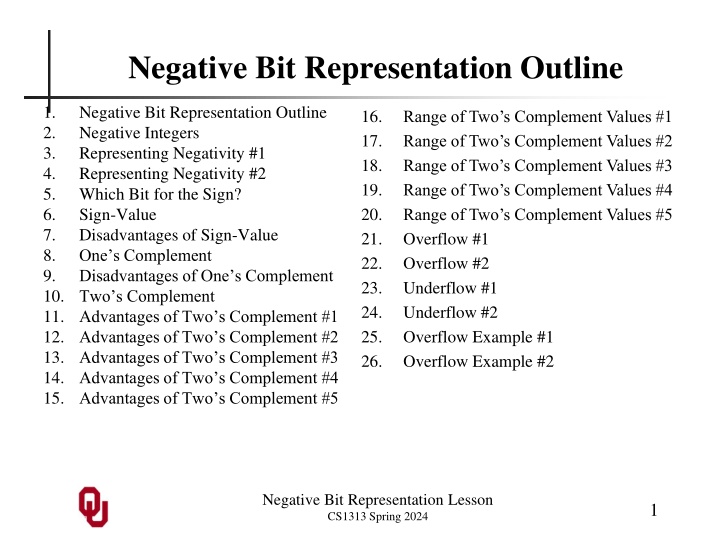 Negative Bit Representation in Computer Science