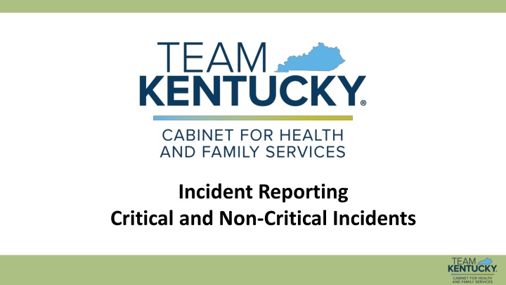Critical and Non-Critical Incidents in Incident Reporting