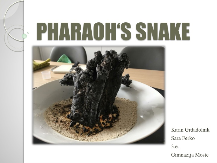 Pharaoh's Snake Experiment Procedure and Video Links