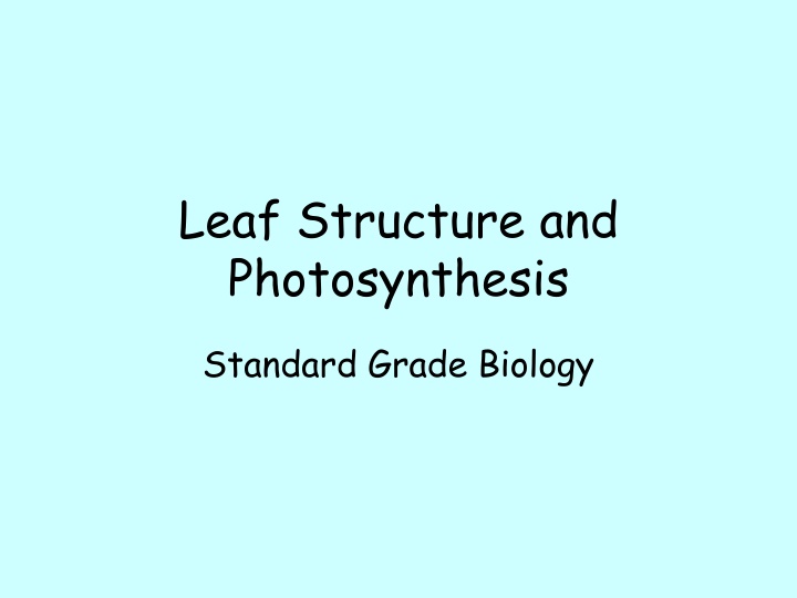 Leaf Structure and Photosynthesis in Biology