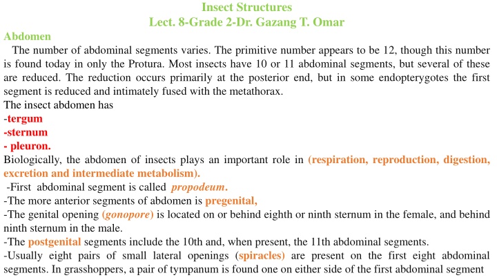 Insect Abdominal Structures and Appendages: An Overview