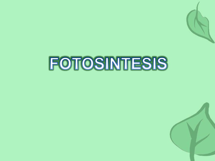 Photosynthesis: The Importance and Mechanism