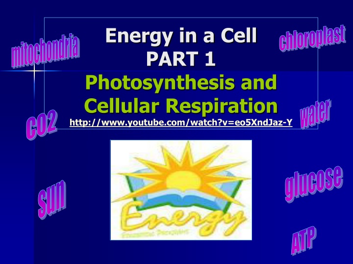 Energy Transformations in Cells