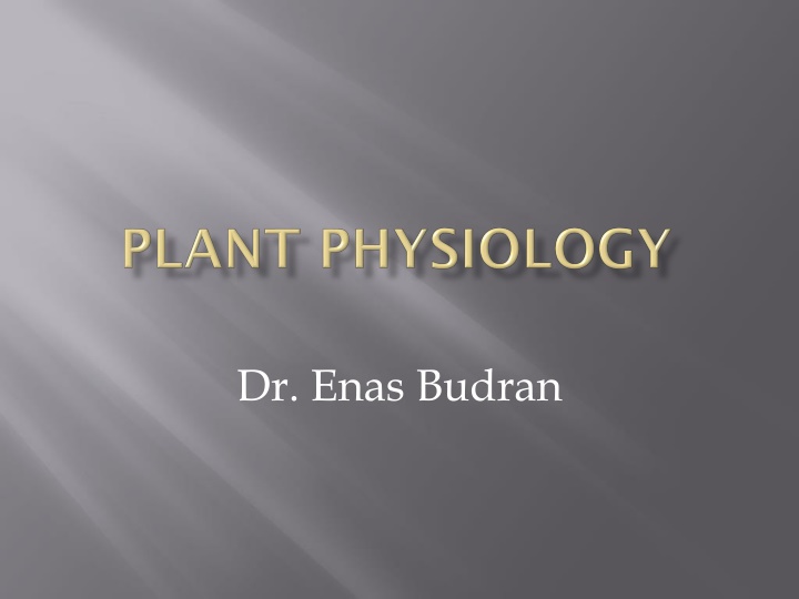 Osmotic Systems in Plant Cells