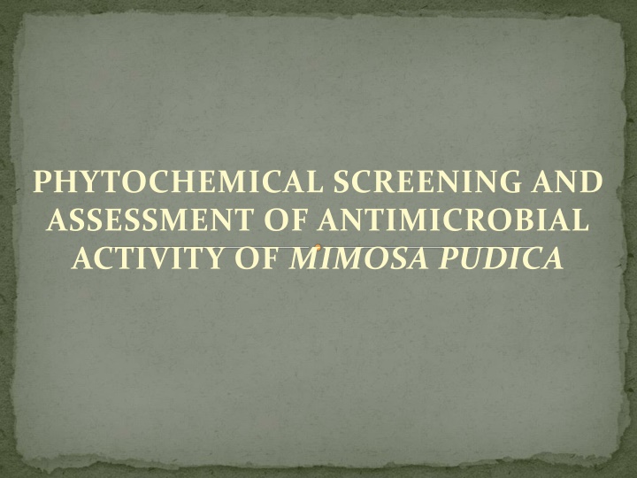Phytochemical Screening and Antimicrobial Assessment of Mimosa pudica