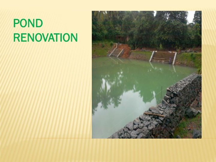 Pond Renovation Project in Palakkad: Making a Difference