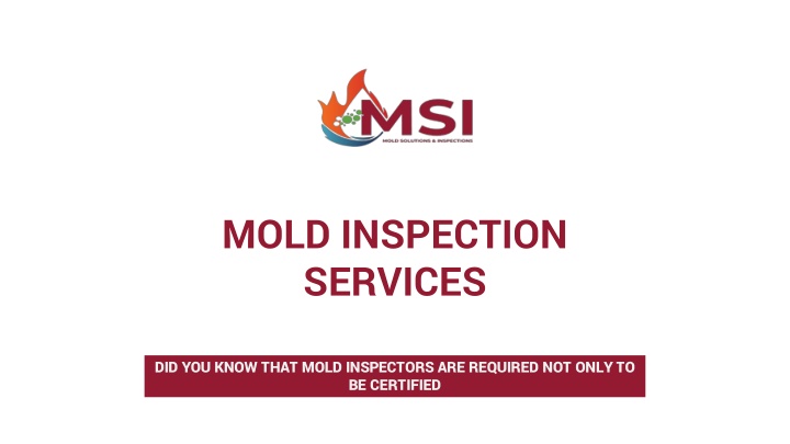 MSI Offers Professional Mold Inspection Services
