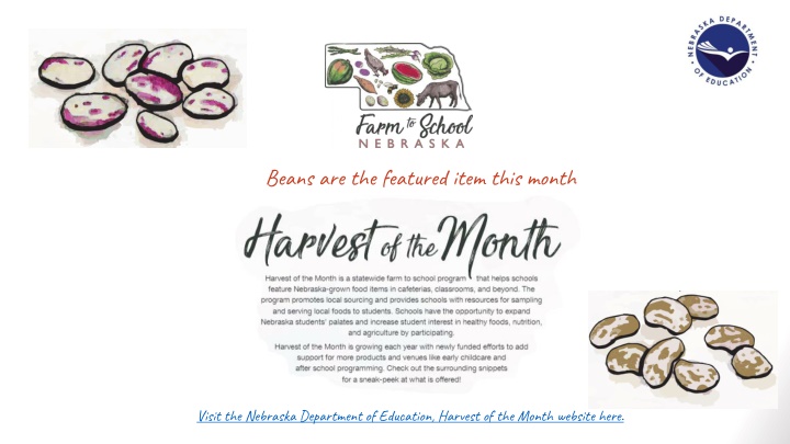 Exploring the World of Beans with Chef's Table Event