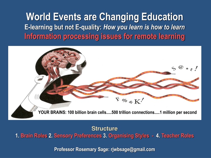 Brain Roles and Sensory Preferences in Learning