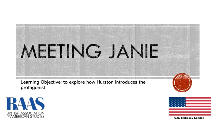 Literary Exploration: Characters, Themes, and Narration in Hurston's Work