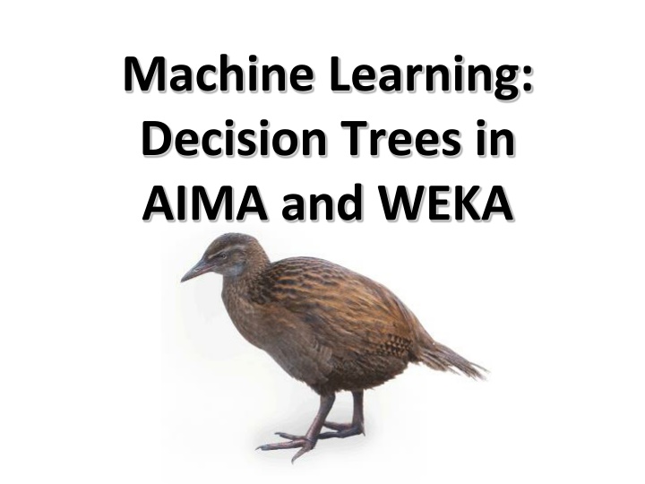 Decision Trees in Machine Learning