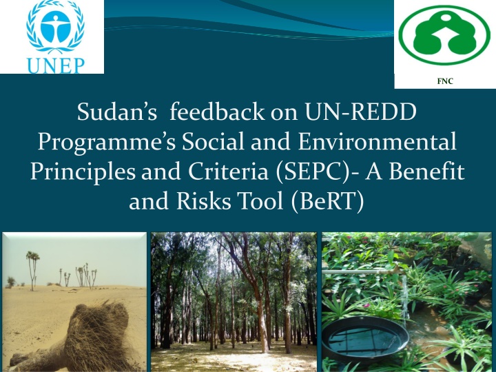 Feedback on UN-REDD Programme's SEPC and BeRT in Sudan