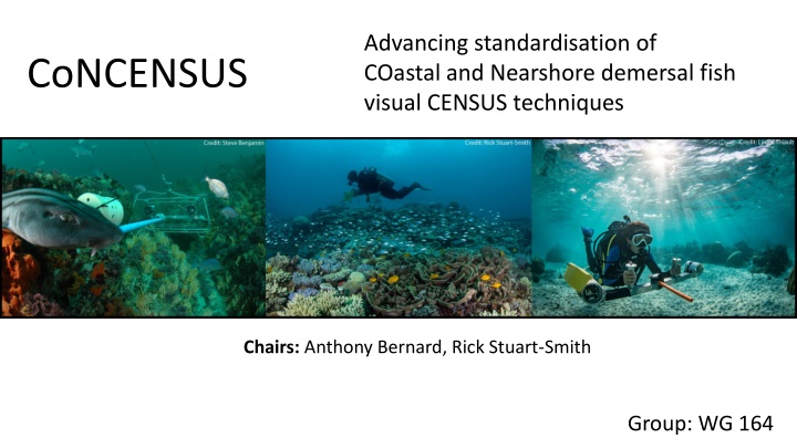 Advancing Standardisation of Coastal and Nearshore Demersal Fish Visual Census Techniques (CoNCENSUS)