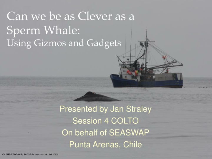 Can We Be as Clever as a Sperm Whale?: Using Gizmos and Gadgets in Combatting Sperm Whale Depredation
