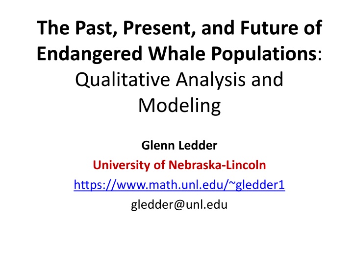 Endangered Whale Populations through Mathematical Modeling