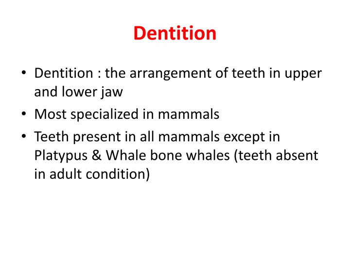 Mammalian Dentition and Tooth Structure