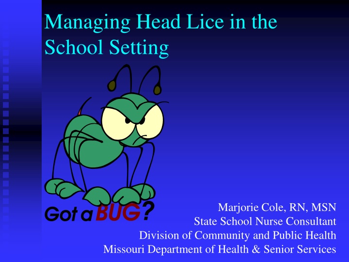 Managing Head Lice in School: A Comprehensive Guide