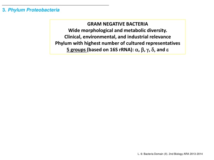 Diverse World of Proteobacteria