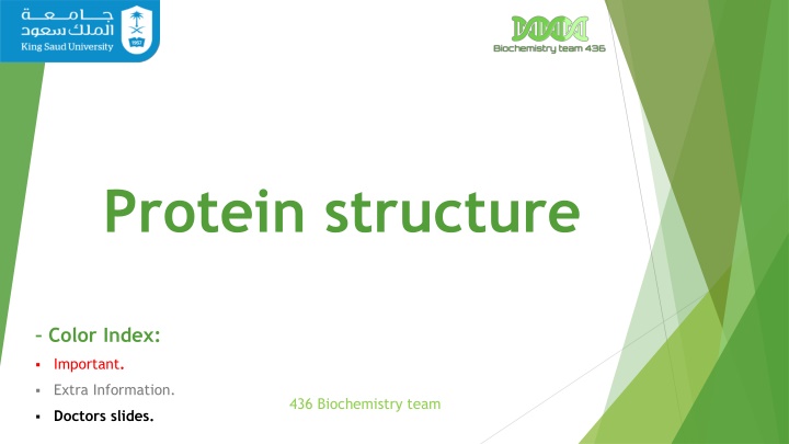 Protein Structure and Function in Biochemistry