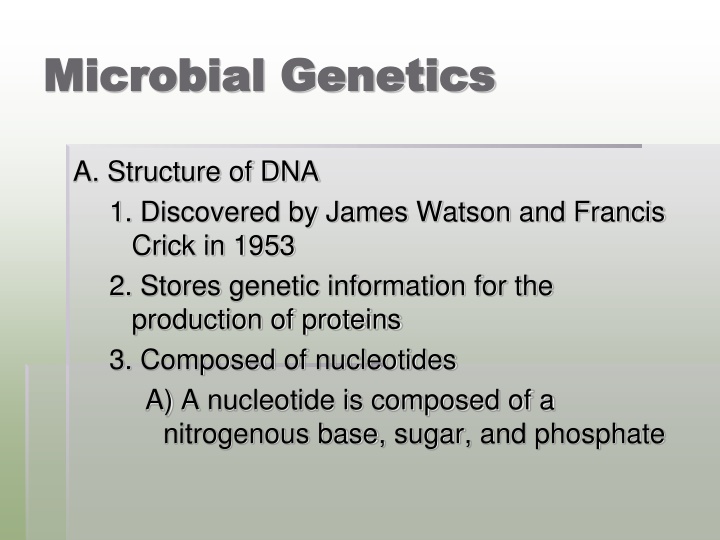 DNA: Structure, Replication, and Expression