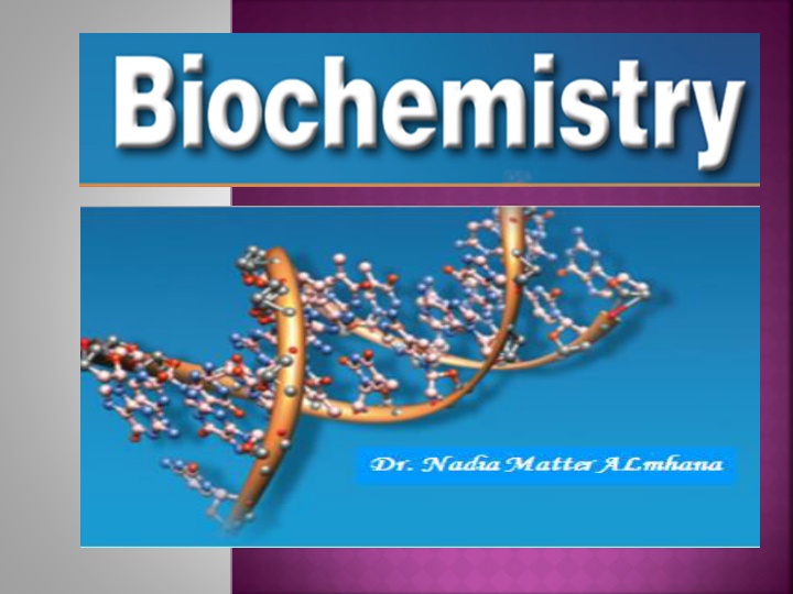DNA Structure and Genetic Information Encoding