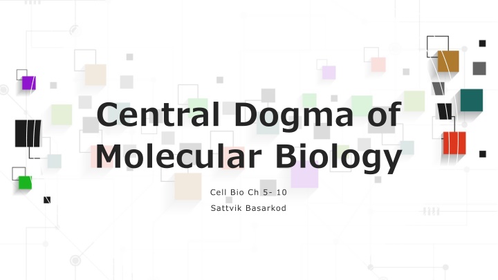 The Central Dogma of Molecular Biology - DNA, Chromosomes, and Gene Regulation