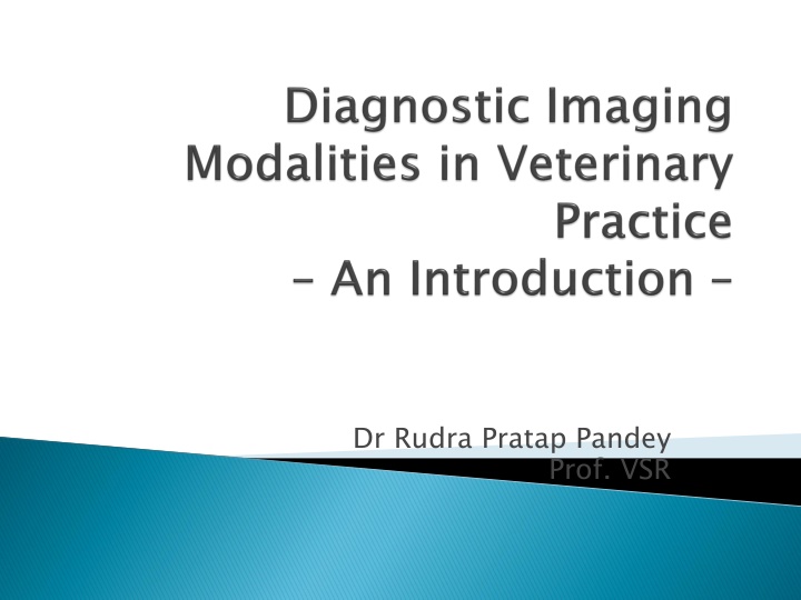 Overview of Radiography and Ultrasound Imaging Techniques