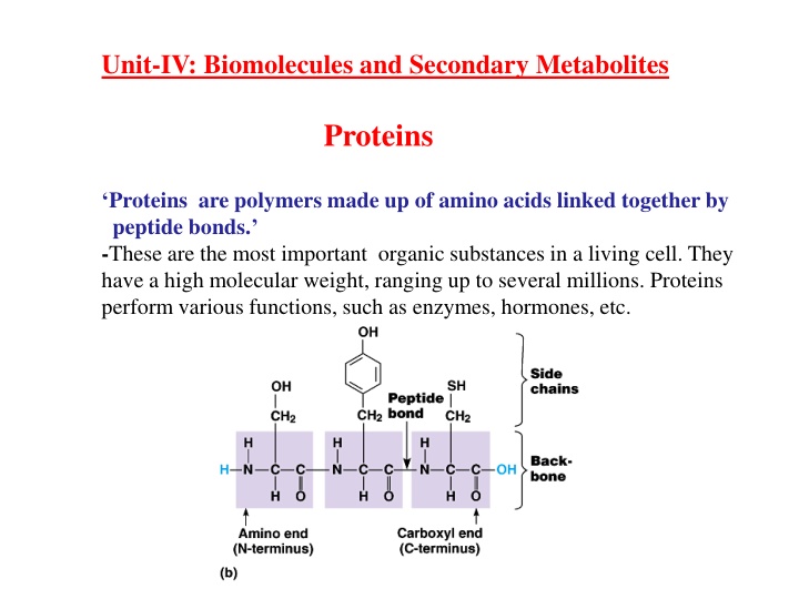 Proteins: Structure and Function