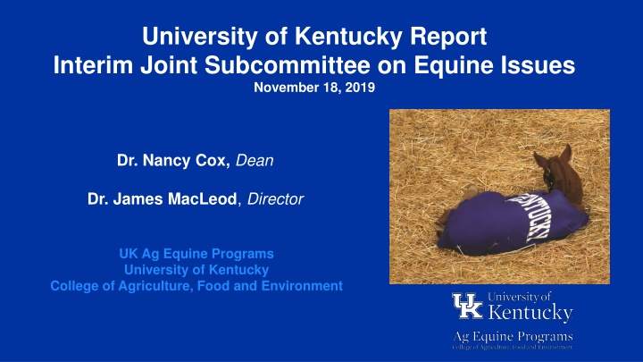 University of Kentucky Equine Programs Overview