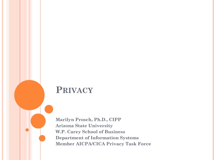 Data Breaches and Privacy Concerns: An Overview