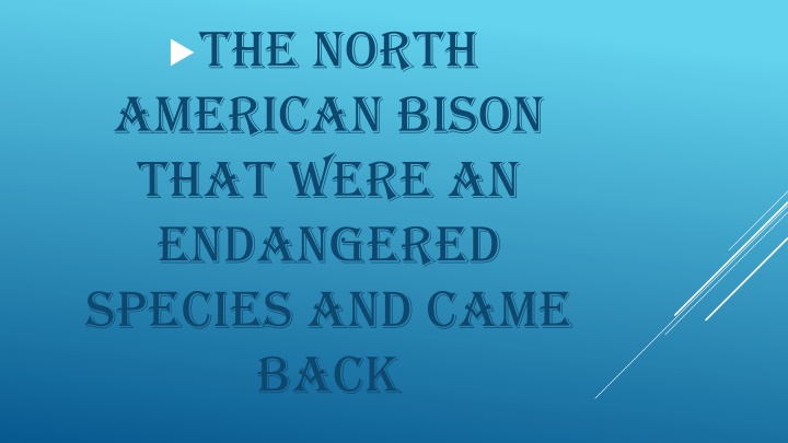 The Tragic History of the North American Bison