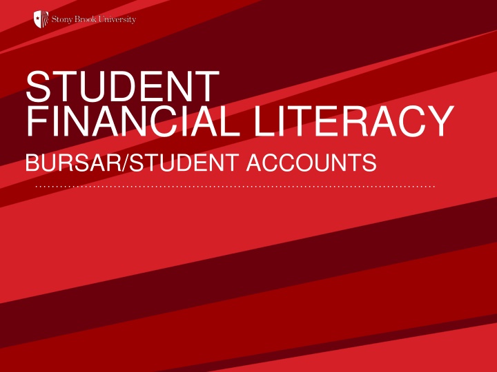 Student Financial Literacy and Bursar Services at Stony Brook University