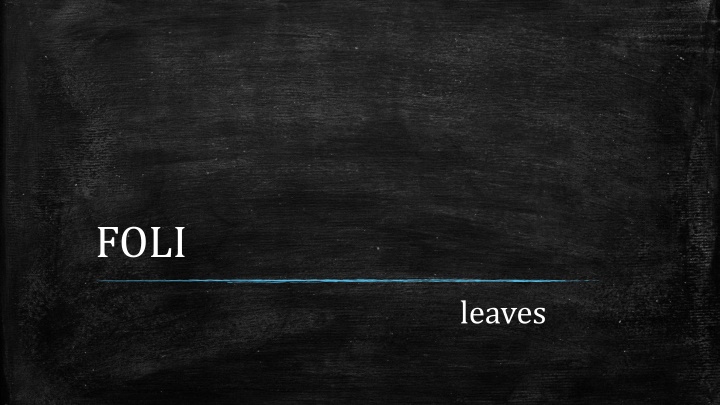 Leaves: From FOLI to Unifoliate