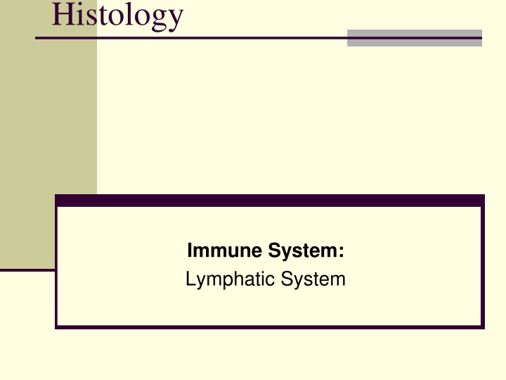 The Lymphatic System and Immune Response