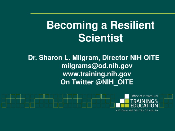 Strategies for Building Resilience in Science and Beyond