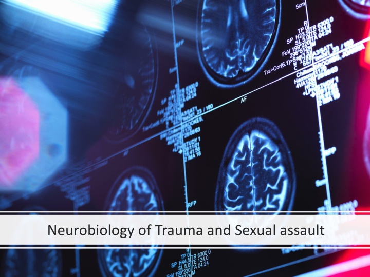 Trauma and Its Effects on the Brain